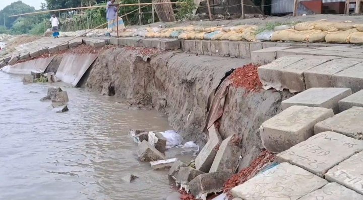 দেড় মাসেই বিলীন ৫২৭ কোটির বাঁধ: তারেক রহমান সরকারের ‘উন্নয়ন সেলফি’র নিচেই পদ্মায় ব্যাপক লুটপাট